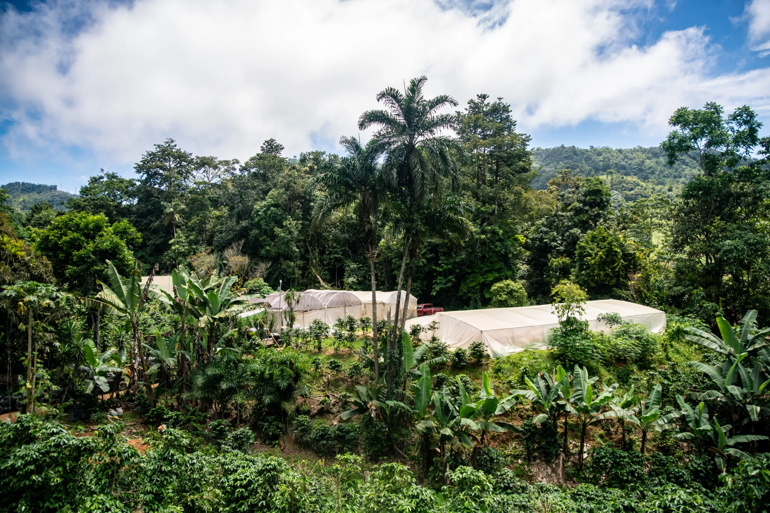 FloSisterhoodChocolateRetreat_MiaYakelPhoto_194